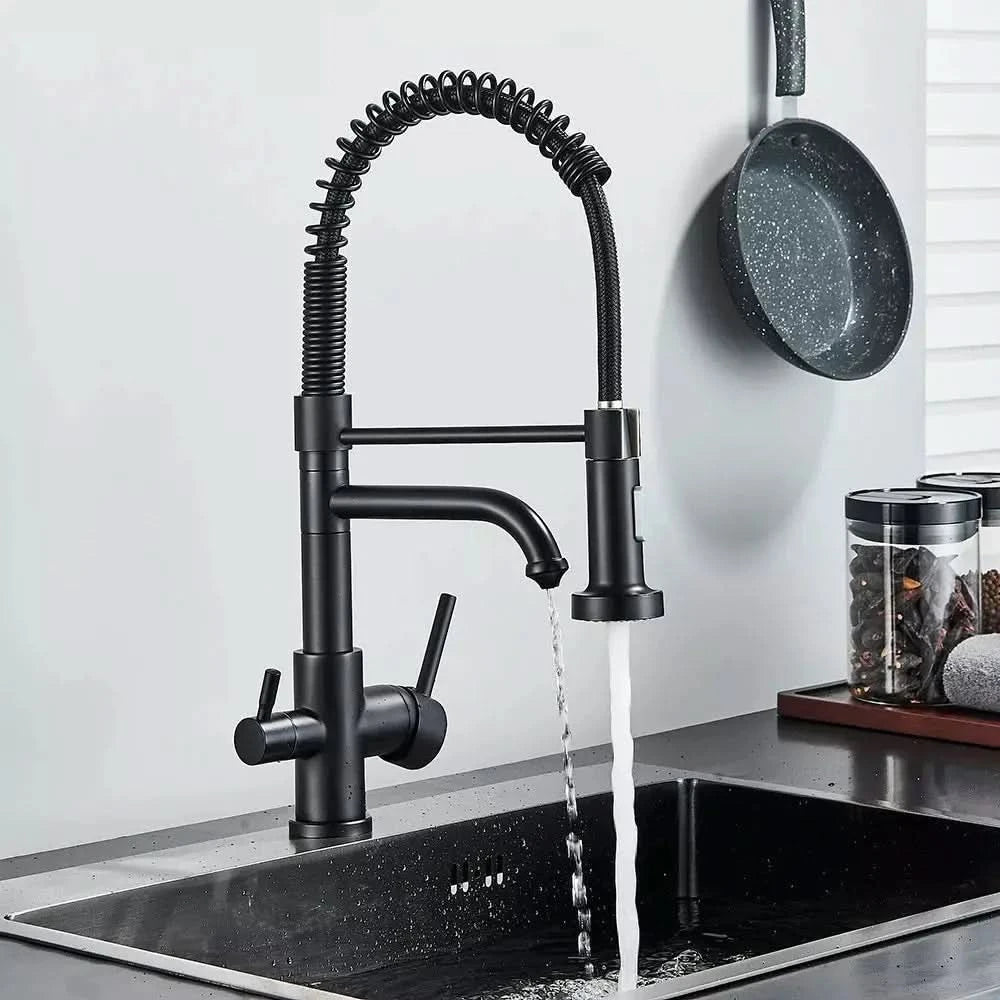 Torneira Para Cozinha Gourmet Monocomando Com Filtro Neptunus - Morada Serena